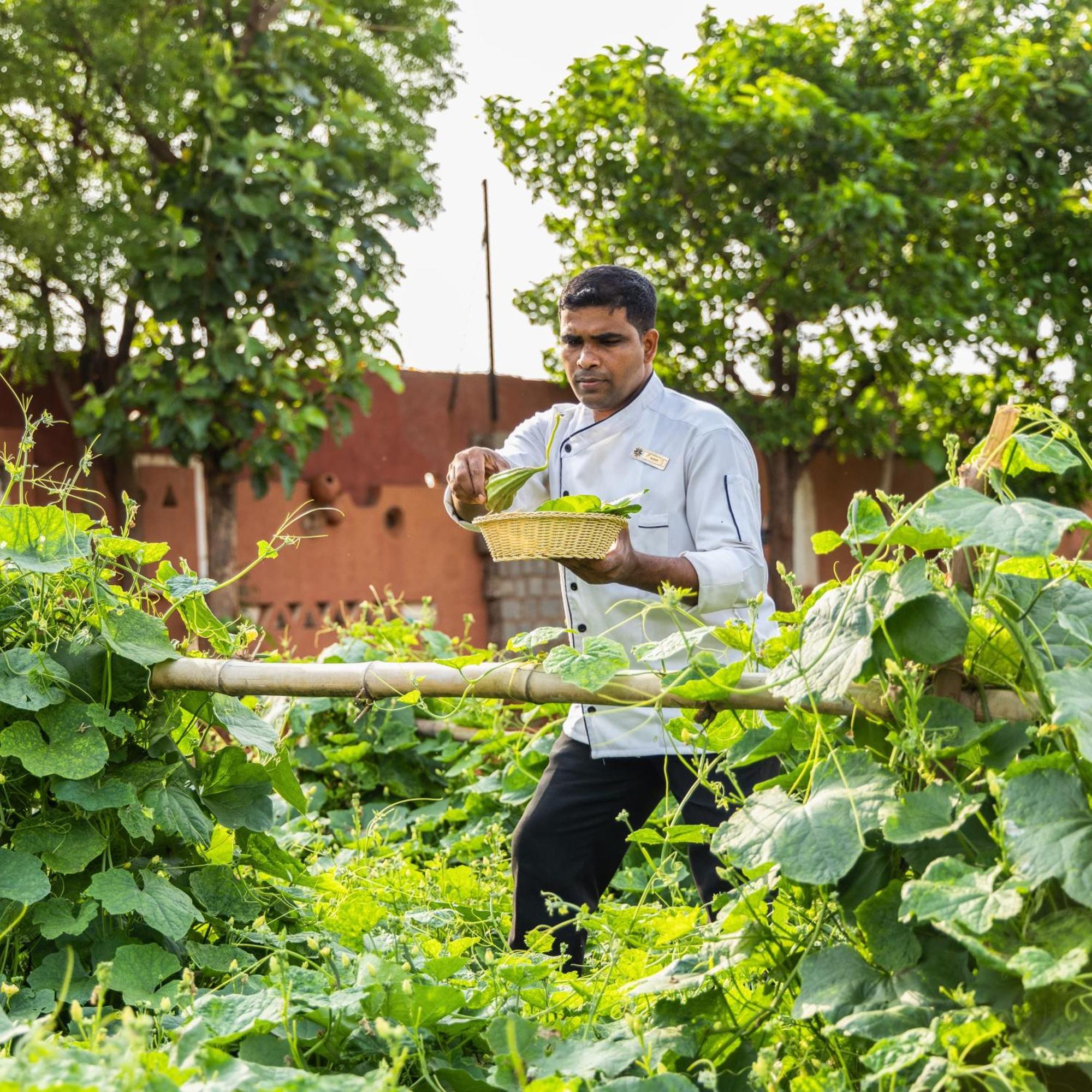 Vijayshree Resort, ハンピ エクステリア 写真